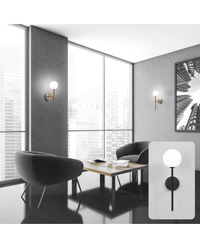 Doris - ACB Doris - ACB