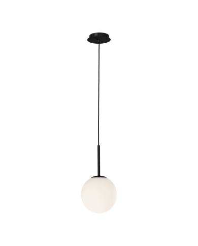 Parma Suspension - ACB Parma Suspension - ACB