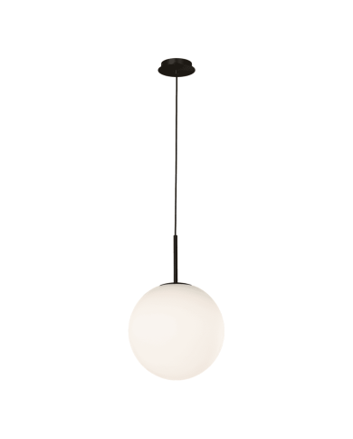 Parma Suspension - ACB Parma Suspension - ACB