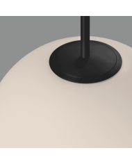 Parma Suspension - ACB