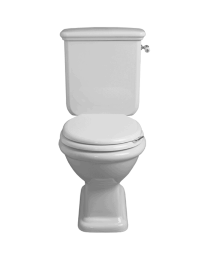 Cuvette monobloc - Simas