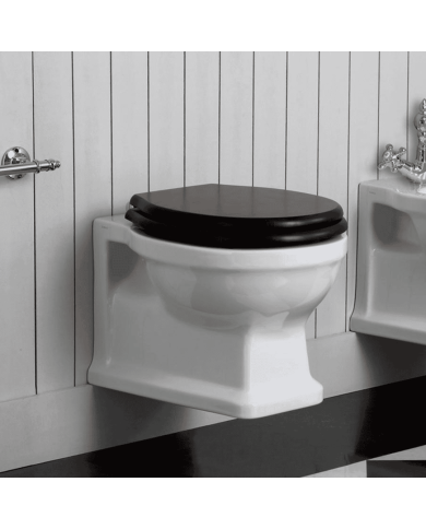 Cuvette suspendue - Simas