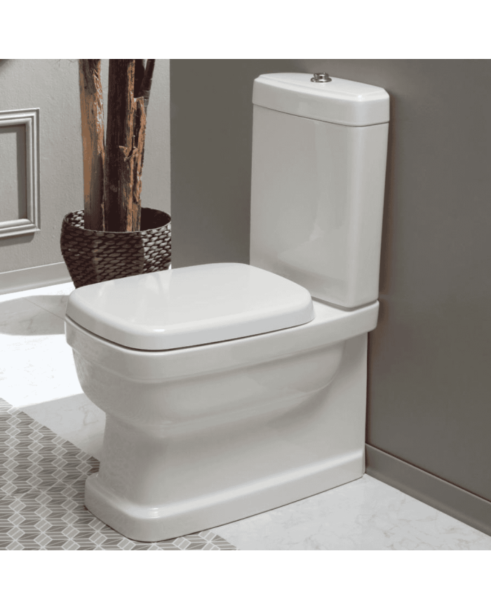 Cuvette monobloc - Simas