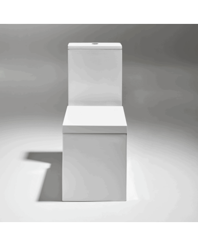 Cuvette monobloc - Simas