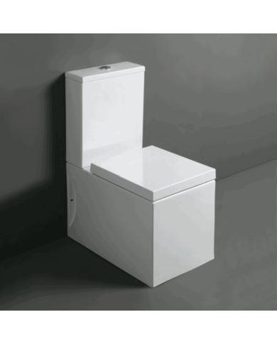 Cuvette monobloc - Simas