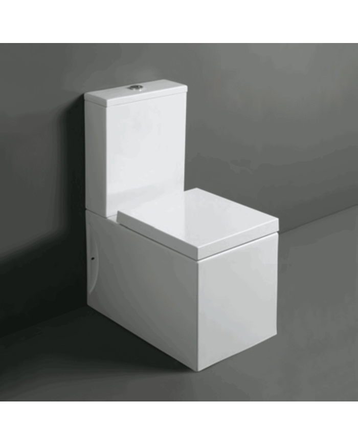 Cuvette monobloc - Simas