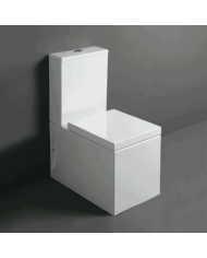 Cuvette monobloc - Simas