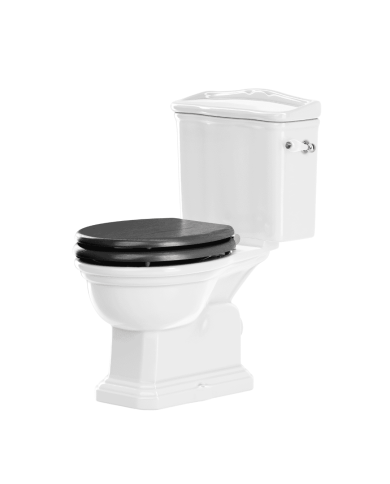 Cuvette monobloc Regent Imperial Cuvette monobloc Regent Imperial