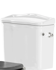 cuvette monobloc imperial | Regent Blanc & Finitions