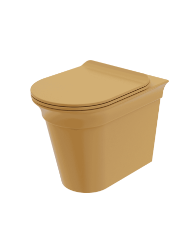 wc rétro cifial edwardian | Soft close & coloris