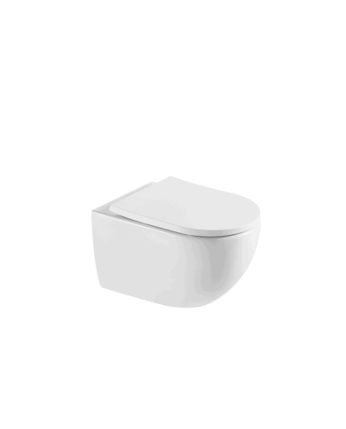 Kit WC suspendu (WC + abattant) - Cifial