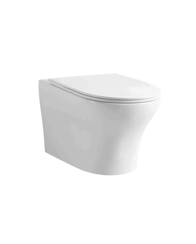 Kit WC suspendu (WC + abattant) Style R - Cifial