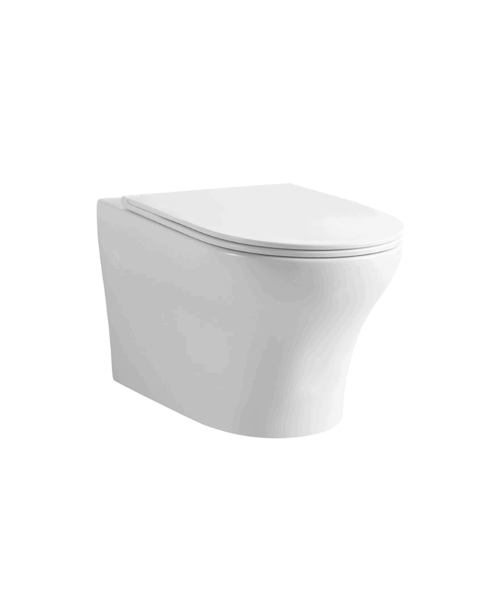 Kit WC suspendu (WC + abattant) Style R - Cifial