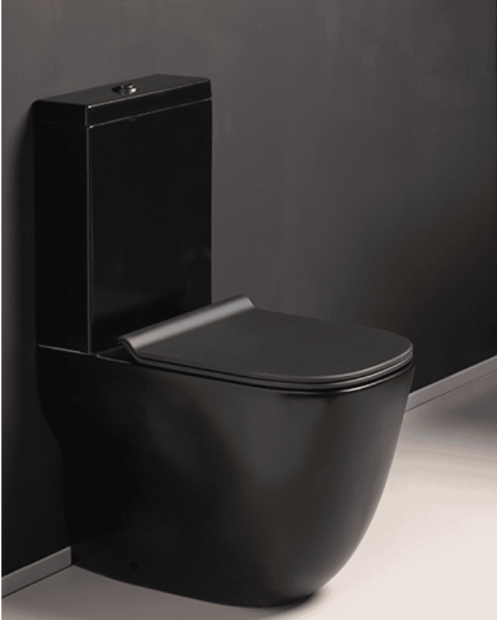 WC Wild monobloc - Ondyna