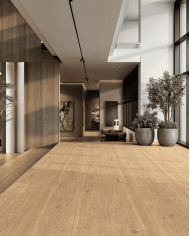 Collection Woodwise carrelage - Energieker