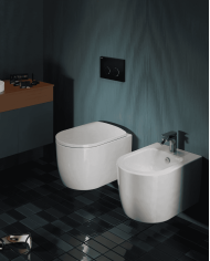 Wc suspendu 36x52cm Monet - The.artceram