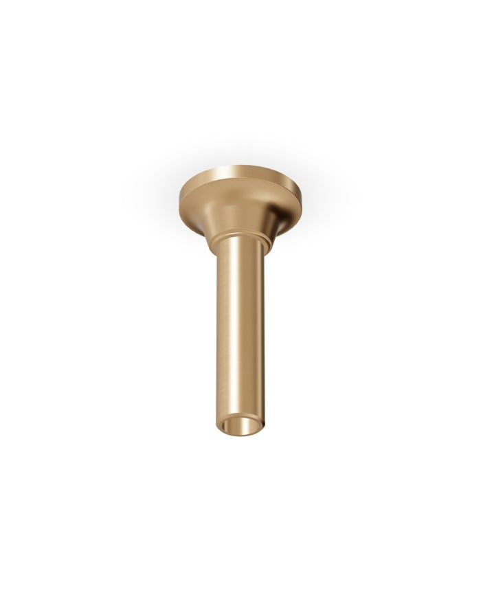 bras de douche zucchetti | Agora 6 finitions chrome or