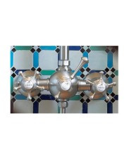 Mix mitigeur thermostatique mural Anthea Horus Mix mitigeur thermostatique mural Anthea Horus
