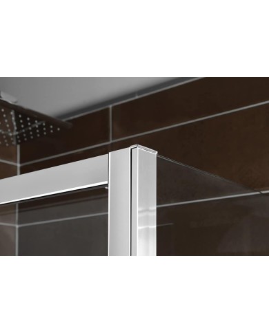 Porte douche seule Polysan 110 x 165