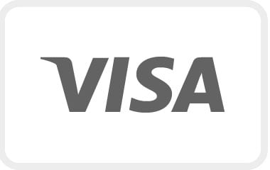 logo carte visa
